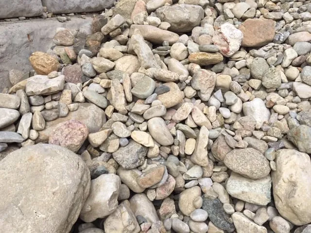 Buffalo Decorative Rock